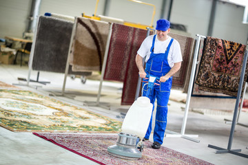 The Importance of Carpet Cleaning